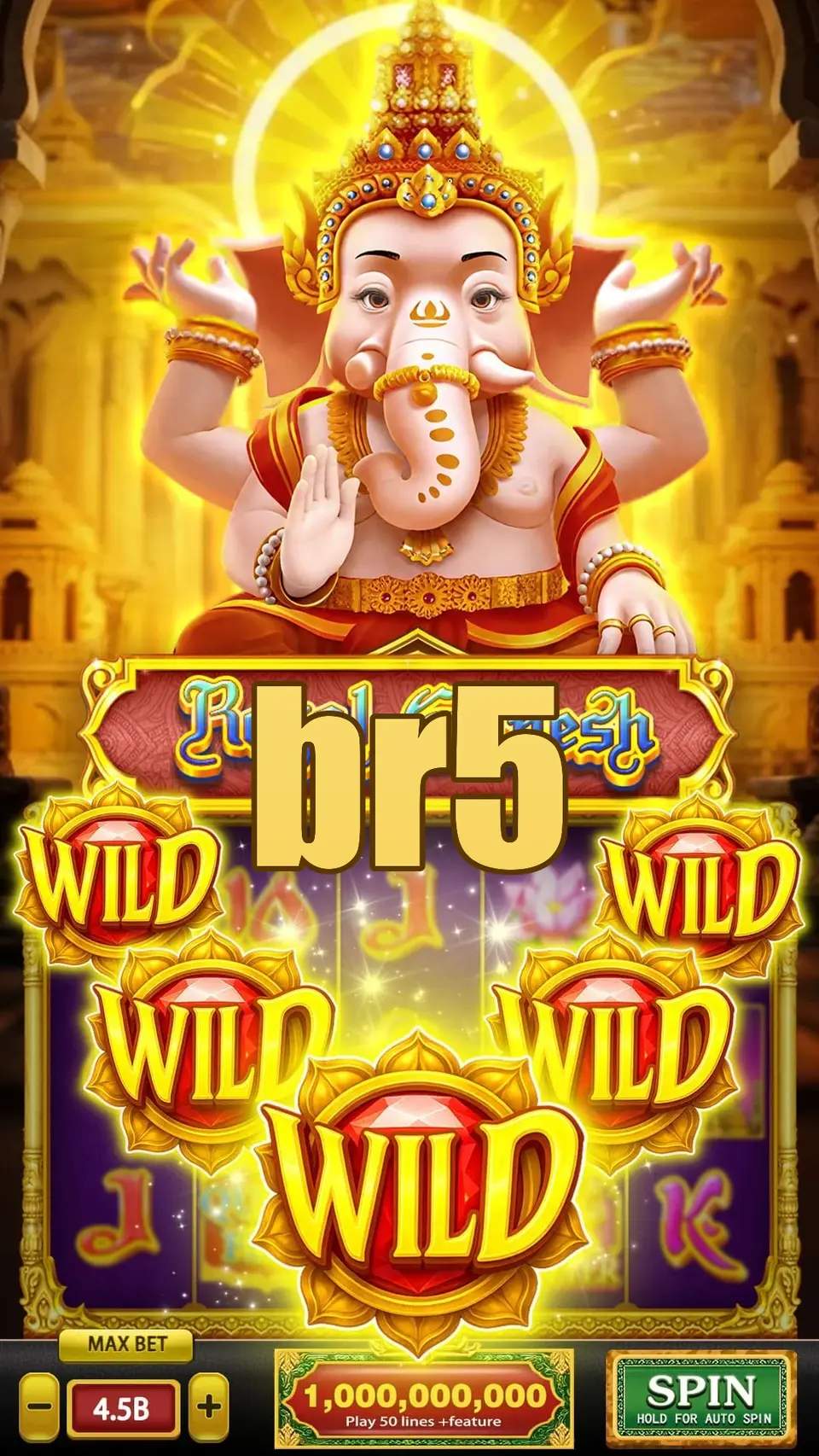 br5 Login